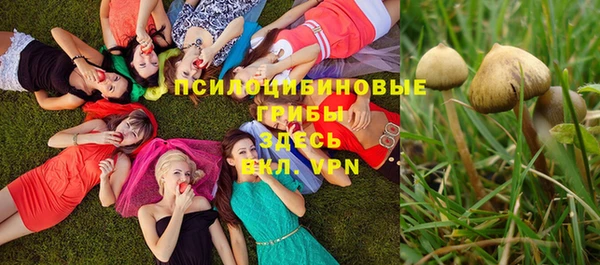 дмт Снежногорск