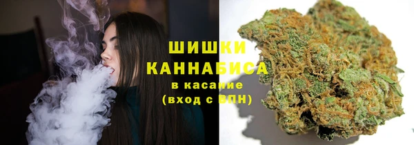 гидропоника Снежинск