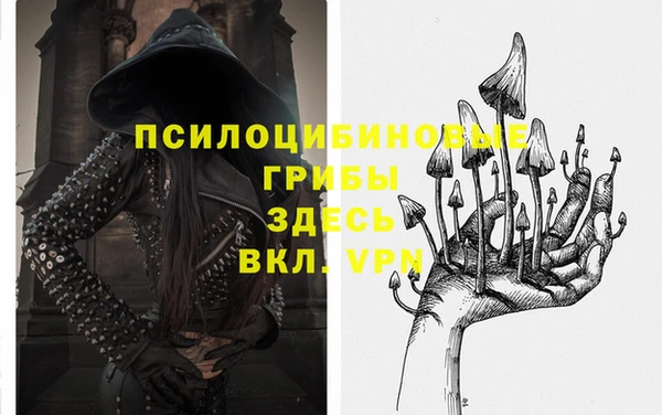 дмт Снежногорск