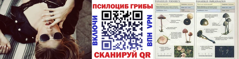 Псилоцибиновые грибы ЛСД  Лукоянов 